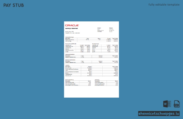 Beispiel für eine Gehaltsabrechnung eines US-amerikanischen Oracle-Softwareunternehmens